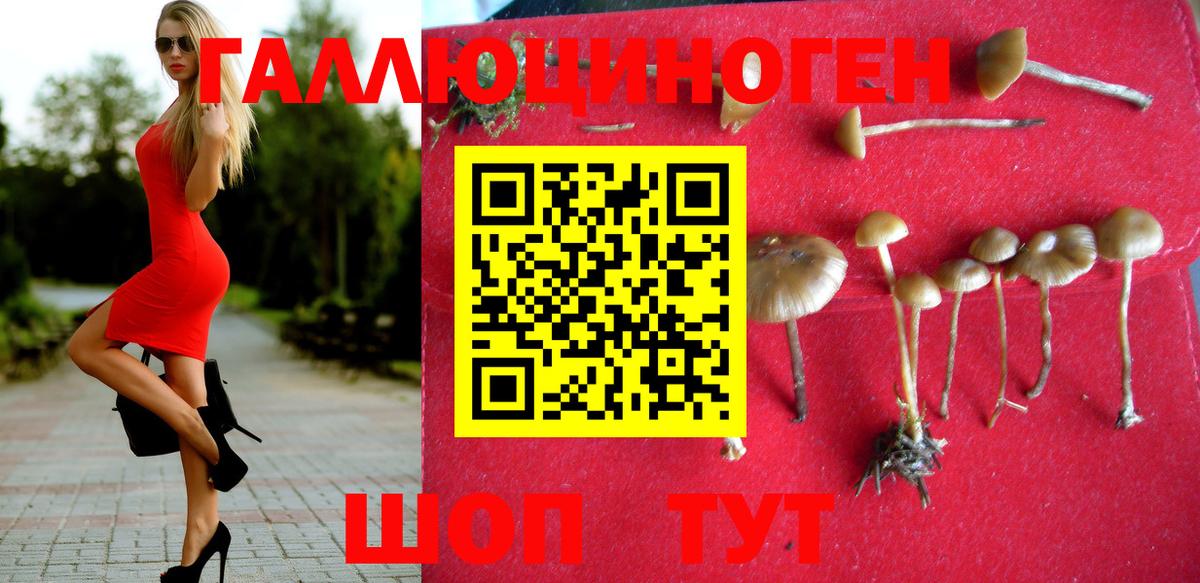 Псилоцибиновые грибы Cubensis Дзержинск