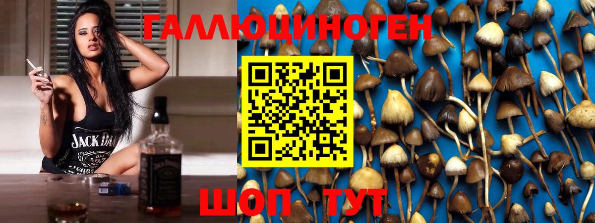 Псилоцибиновые грибы GOLDEN TEACHER  Галлюциногенные грибы MAGIC MUSHROOMS  Дзержинск  Вход с VPN 